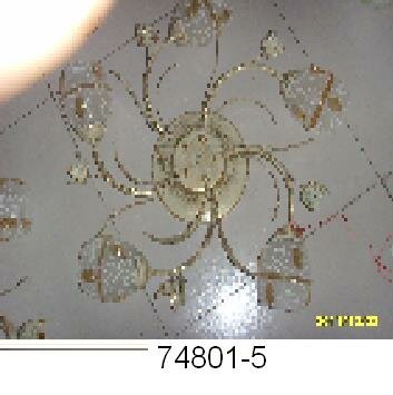 74801_5 74801_5