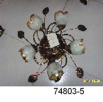74803_5 74803_5